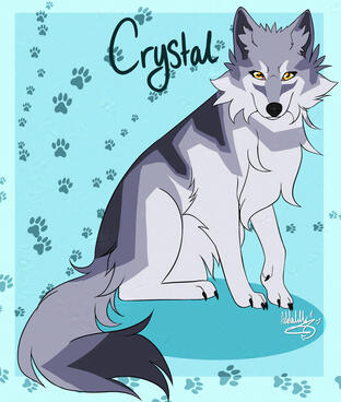 flat colour flat colour